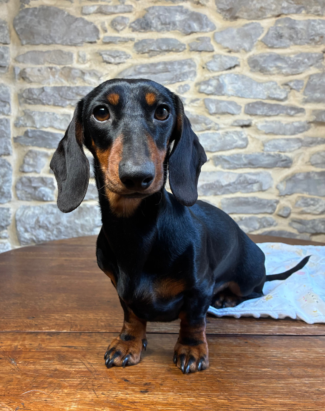 Adelaide des Jardins De Courtille