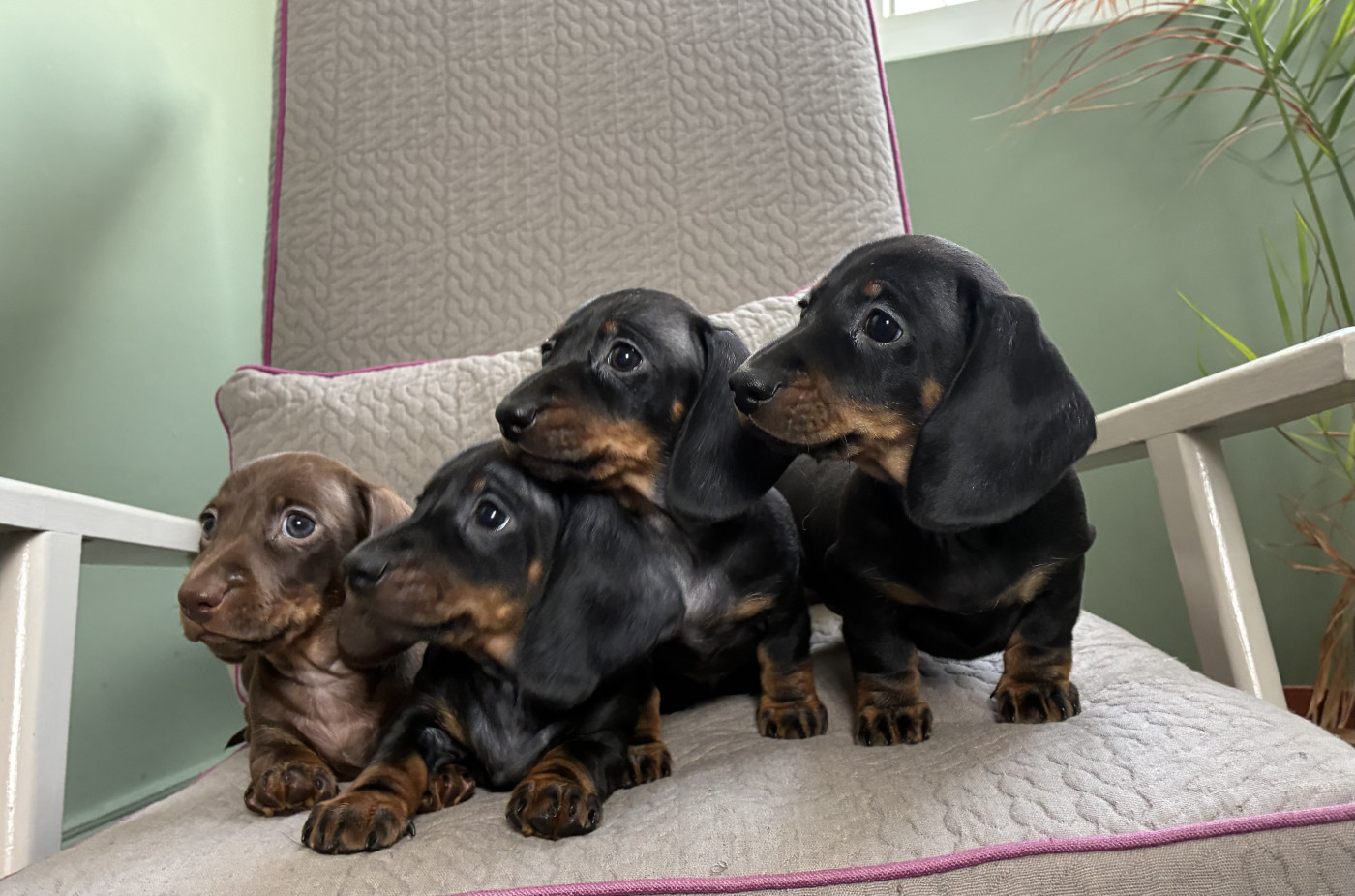 Les bébés grandissent bien