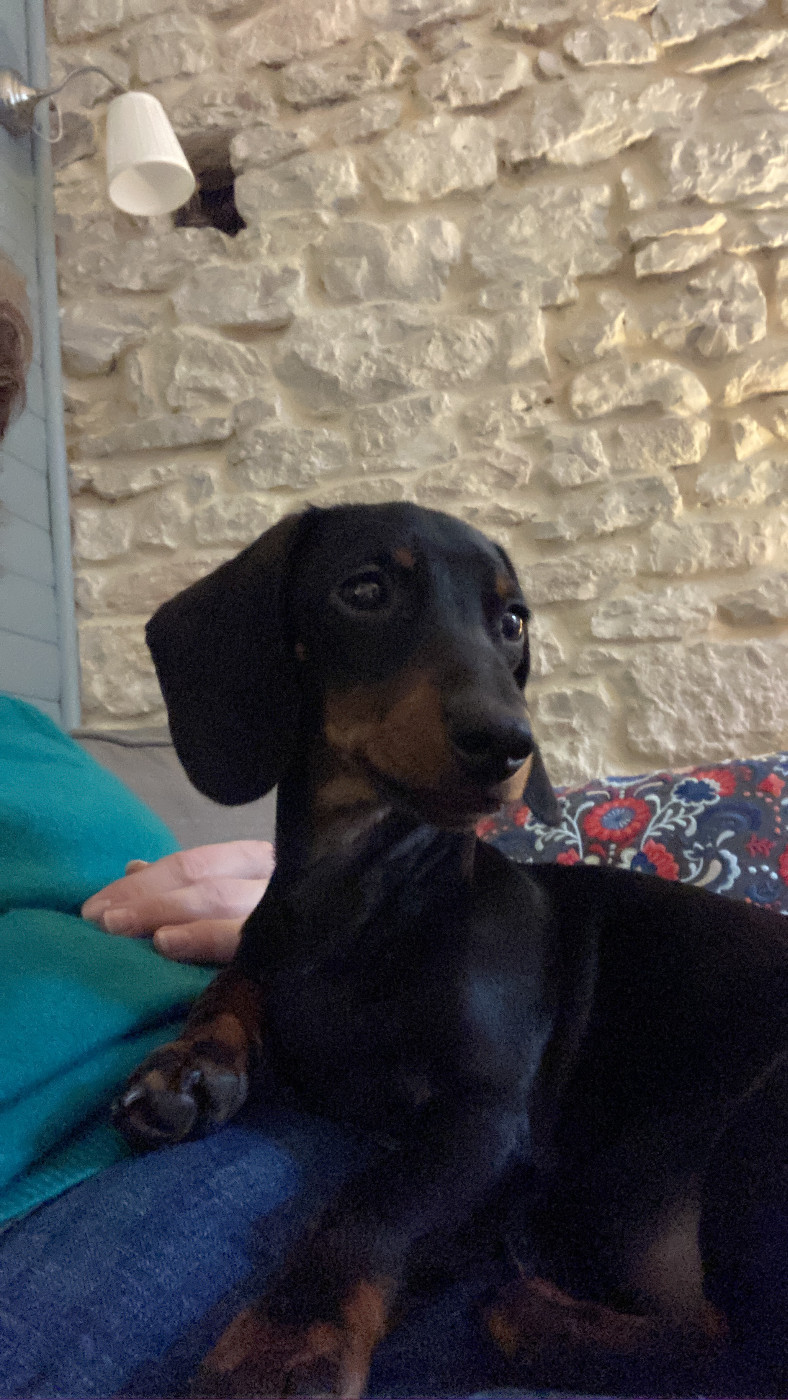 Ma jolie Sophie