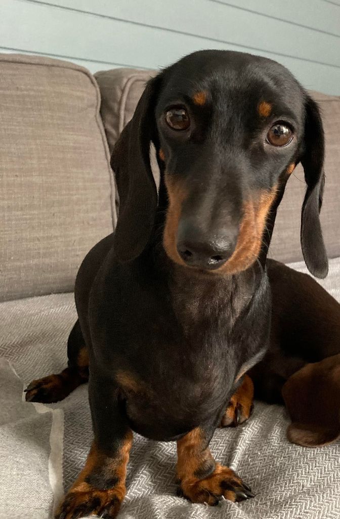 Des bébés pour bientot